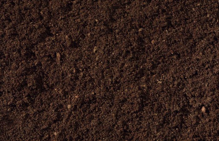 A close up image of dark brown soil perfect for planting vegetables.