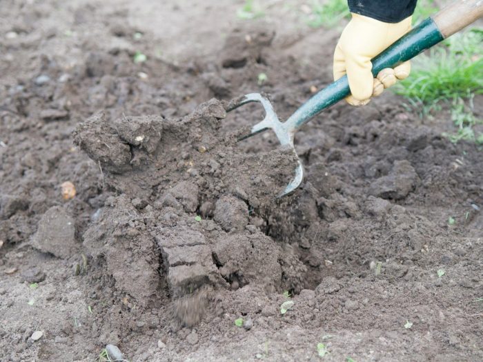 A person planting vegetables by digging in the dirt with a shovel.