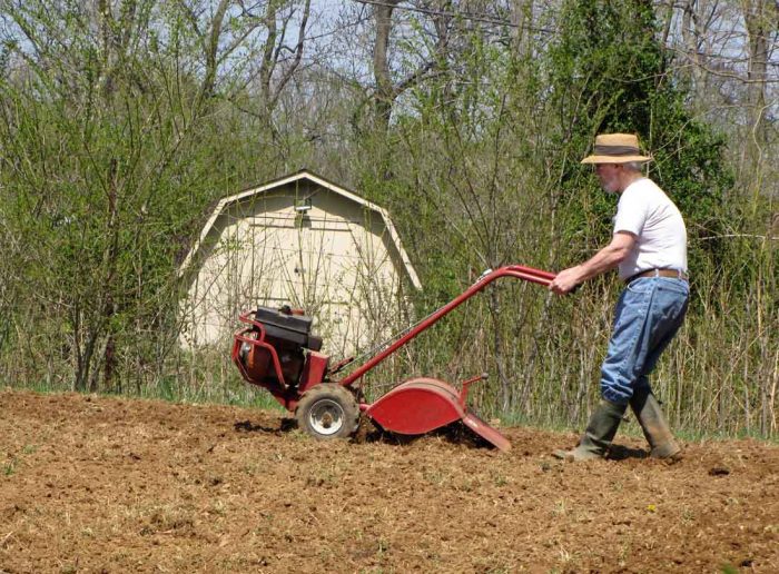 A man in a hat is planting vegetables in a field.