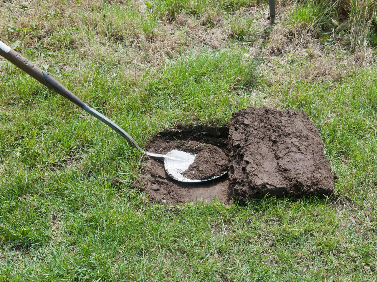 A shovel is being used to dig a hole for planting vegetables.