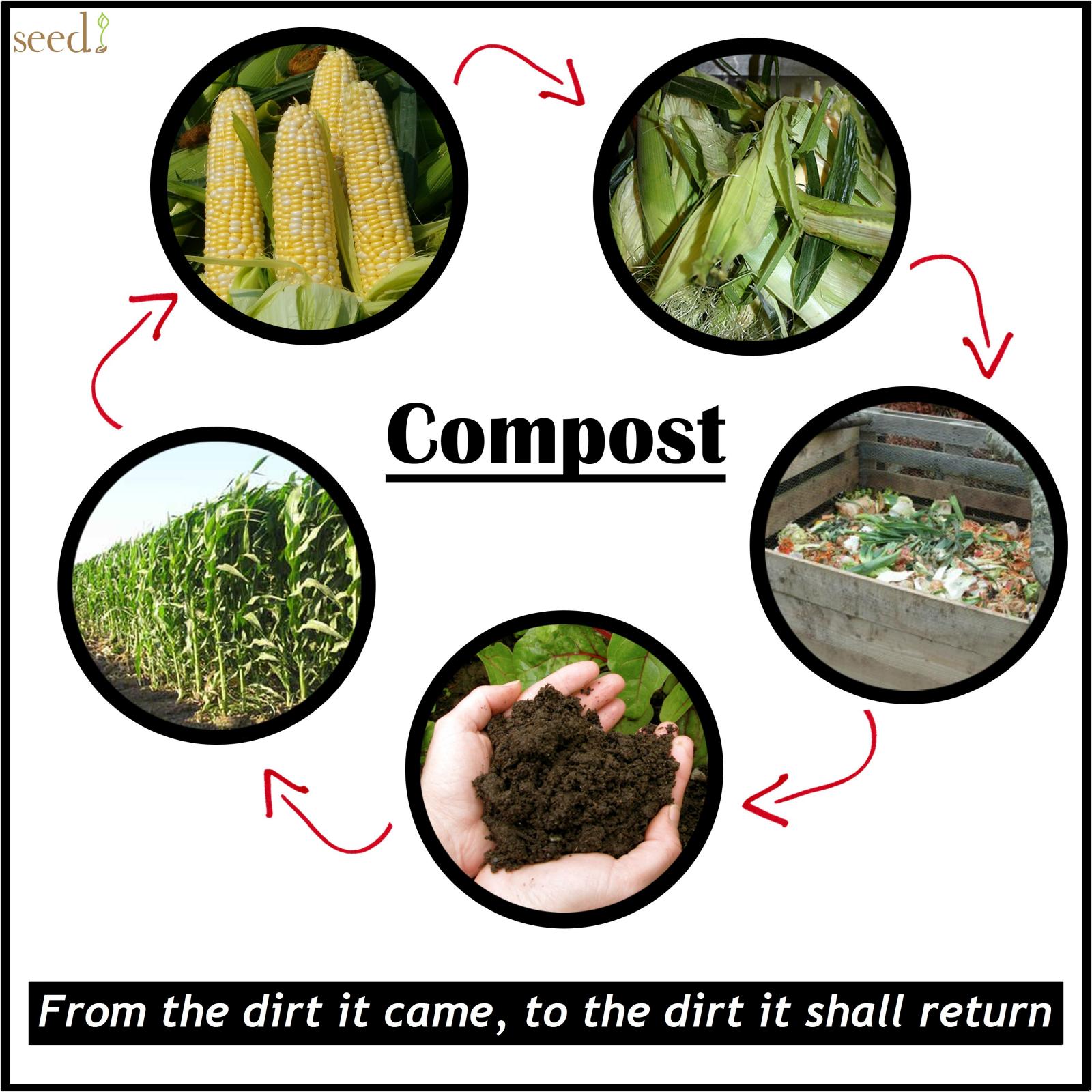 Compost returns nutrients to the dirt for planting vegetables.