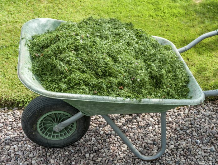 Indeed, you should add grass clippings to compost.