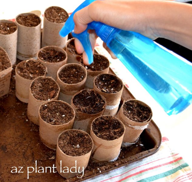 Or cut toilet paper tubes in half for starting seeds.