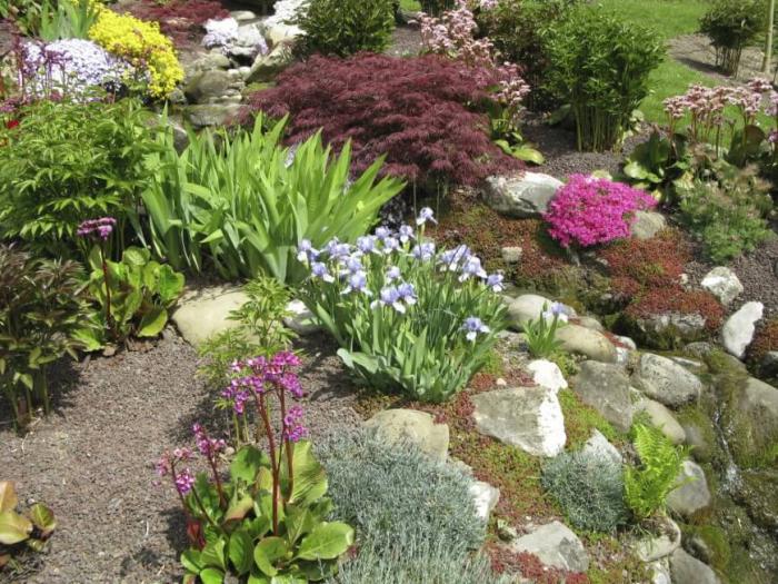 A garden featuring a variety of plants and rock gardens.