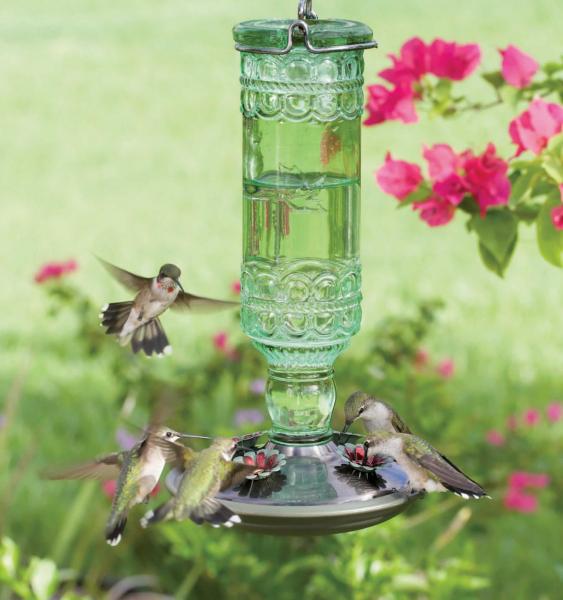 A hummingbird feeder attracting hummingbirds.