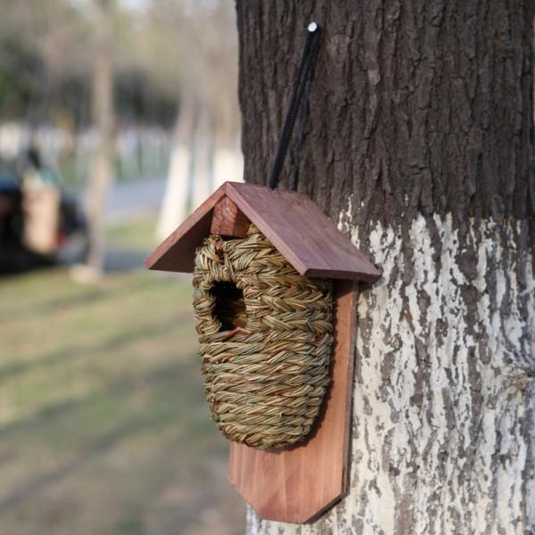 A birdhouse attracting hummingbirds and butterflies while hanging on a tree.