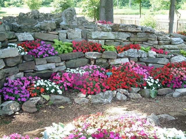 A rock garden filled with colorful flowers.