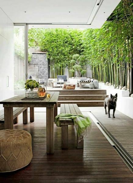 A modern backyard garden with bamboo trees and a wooden table.