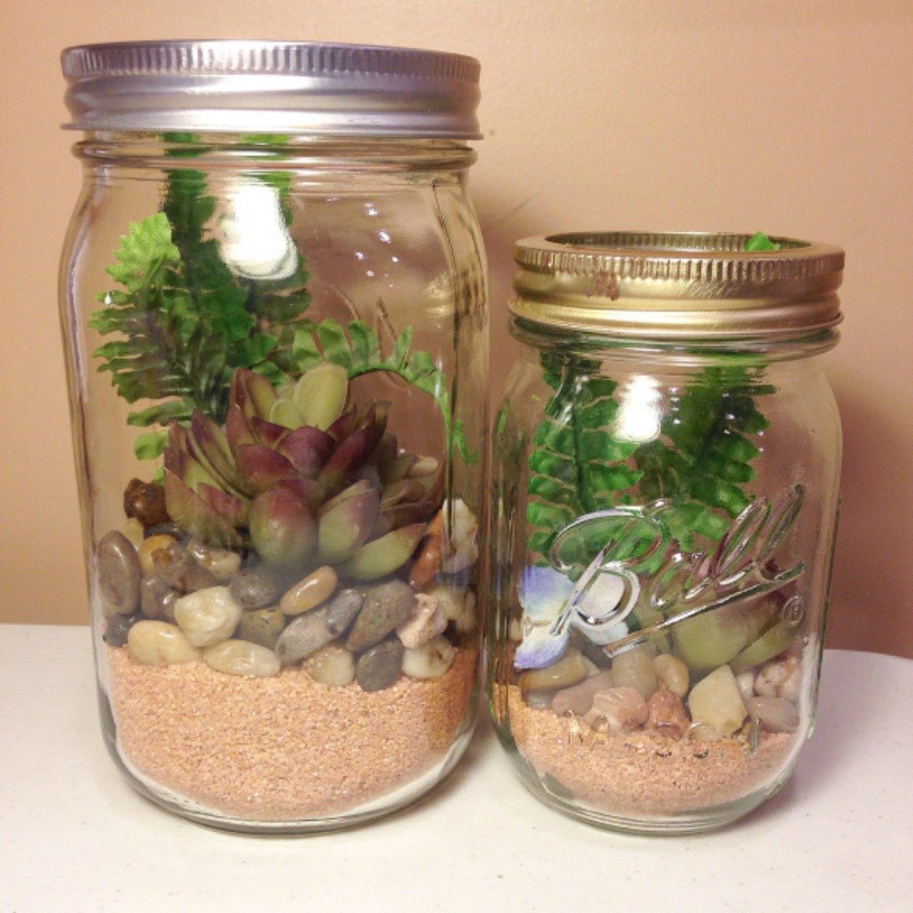 Two mason jars filled with succulents.