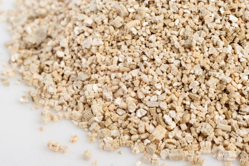 A pile of oats on a vermiculite background.