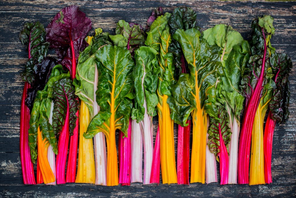A bunch of colorful swiss chard for early season gardening.