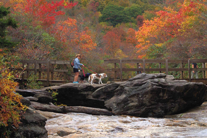 A woman is walking her dog on a bridge over a river in a dog-friendly American vacation destination.