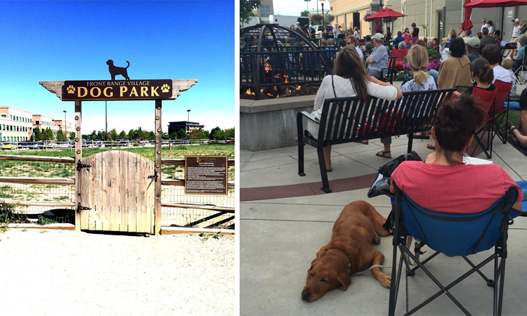 A dog-friendly vacation destination in America where a woman and her dog can sit in a chair together in a park.