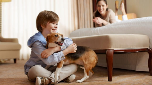 A young boy holding a dog in a dog-friendly hotel room.