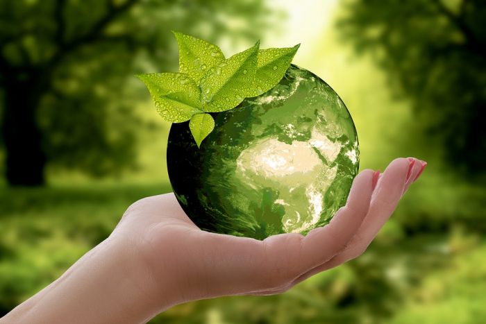 A person's hand holding a green earth with leaves in it, visualizing the importance of recycling.