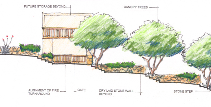 A landscape architect creates a sketch of a landscape design with trees and steps.
