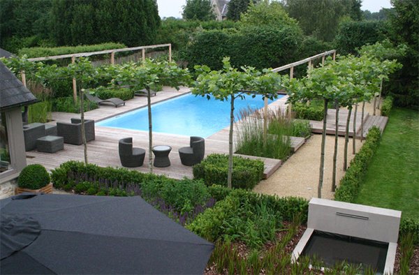 A backyard with an outdoor swimming pool.