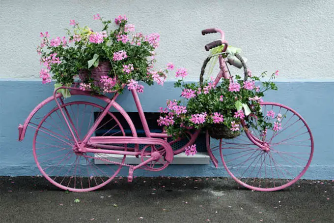 A budget-friendly pink bicycle with flowers on it.