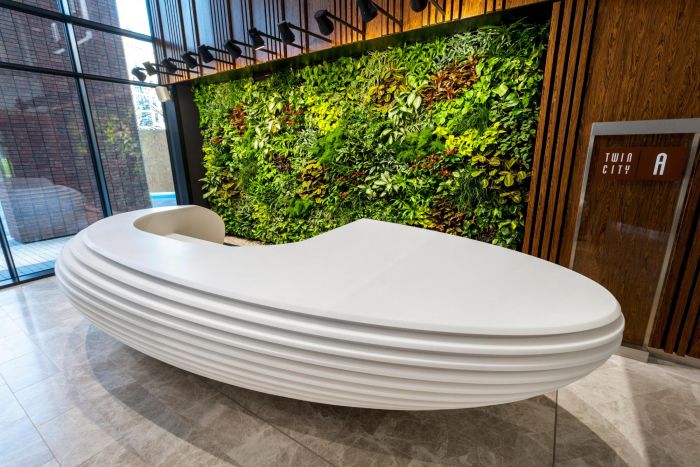 A contemporary reception desk with a green wall in front of it.