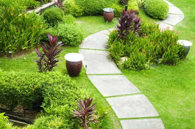 A budget-friendly garden pathway with plants and shrubs.