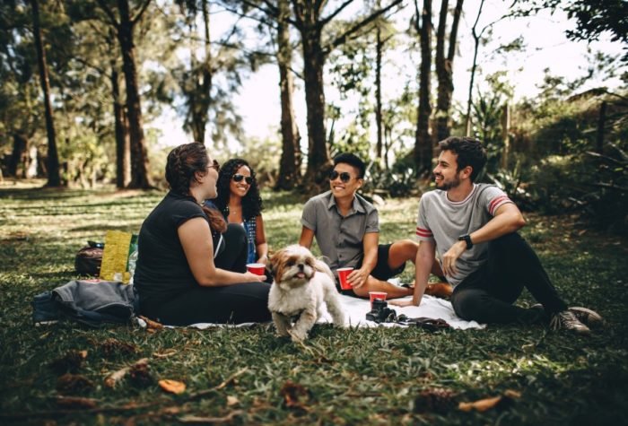 A group of friends having a picnic in the park with a dog while quitting smoking.