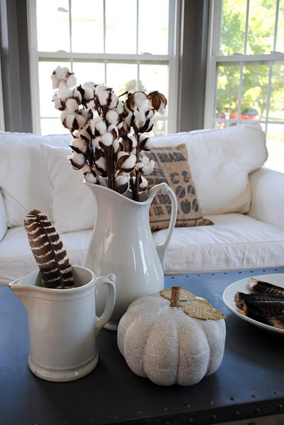 A fresh fall coffee table adorned with pumpkins and a white jug.