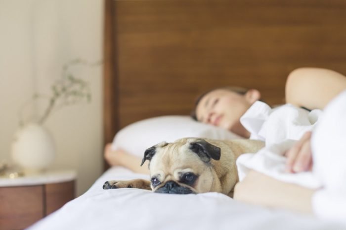 A woman enjoying her beauty sleep with a pug dog by her side.