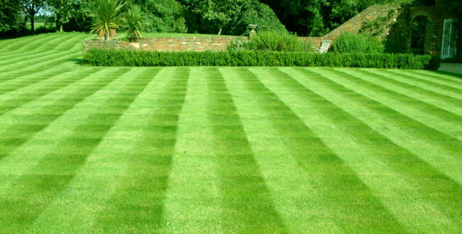 A lawn with a striped pattern and right grass.