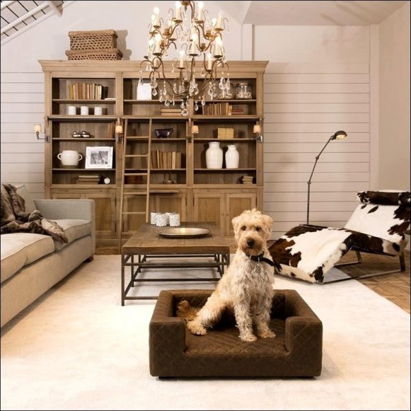 A dog is lounging in a stylish dog bed, adding pizzazz to the living room.
