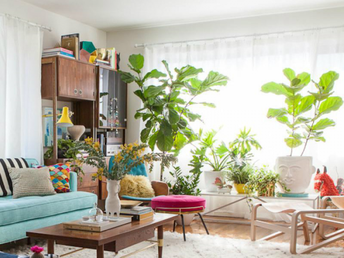 An impressive living room filled with plants.