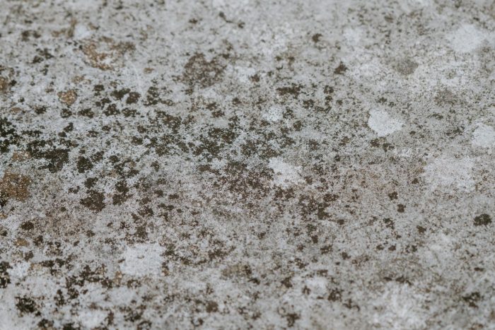 A close up image of a concrete surface with mold.