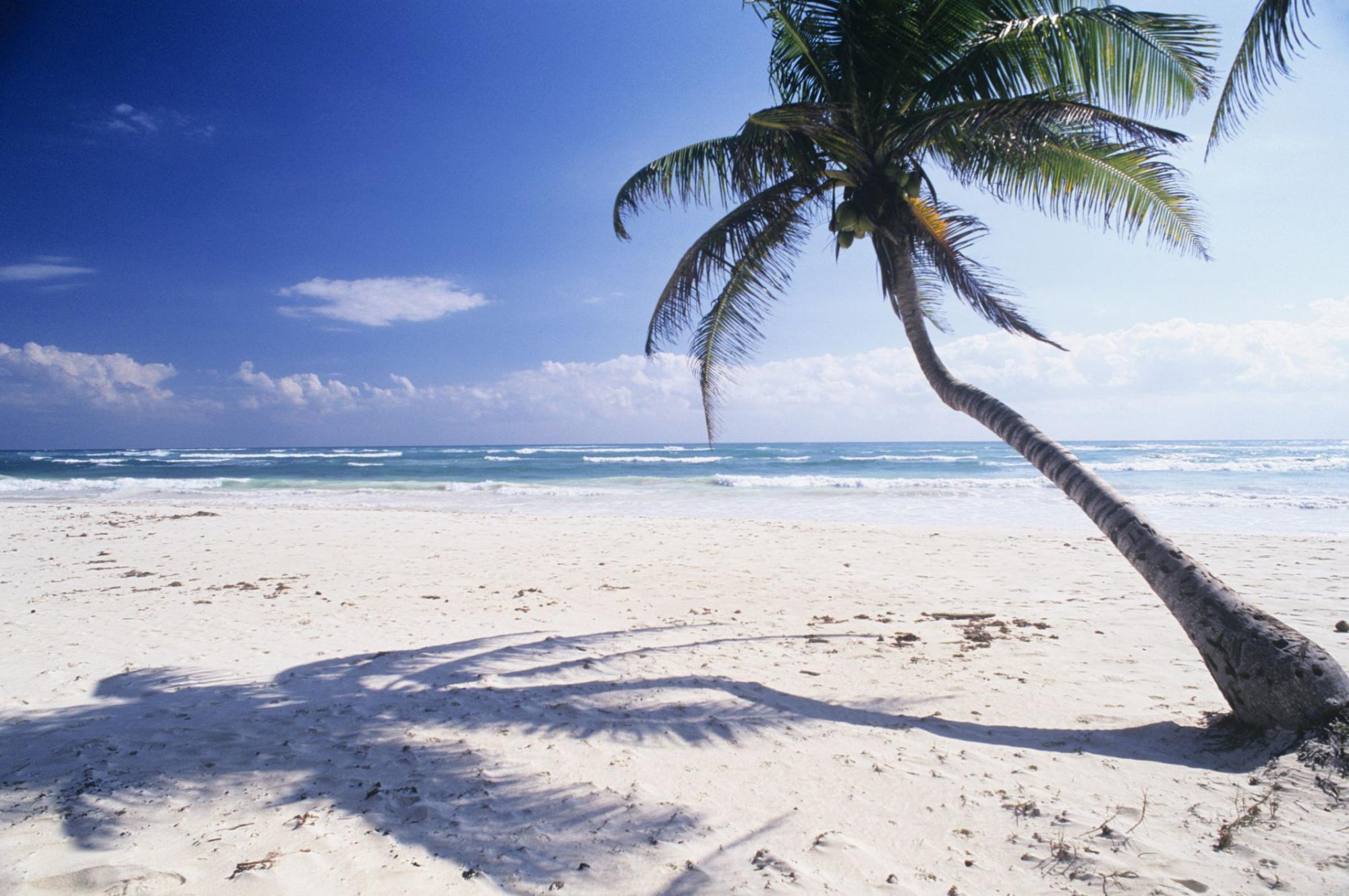 How to Make the Most Out of Your West Palm Beach Vacation: Enjoying White Sand on the Beach.