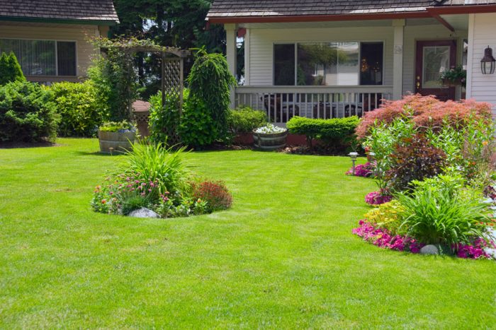 A green lawn that increases the value of a house.
