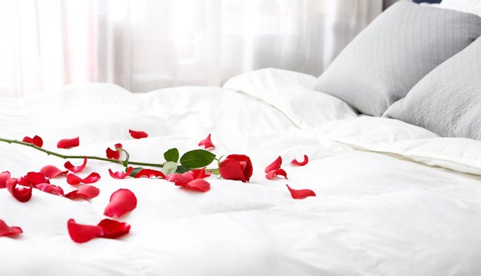 A romantic bedroom with rose petals on the bed.