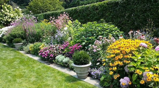 A healthy garden with a variety of flowers in pots.