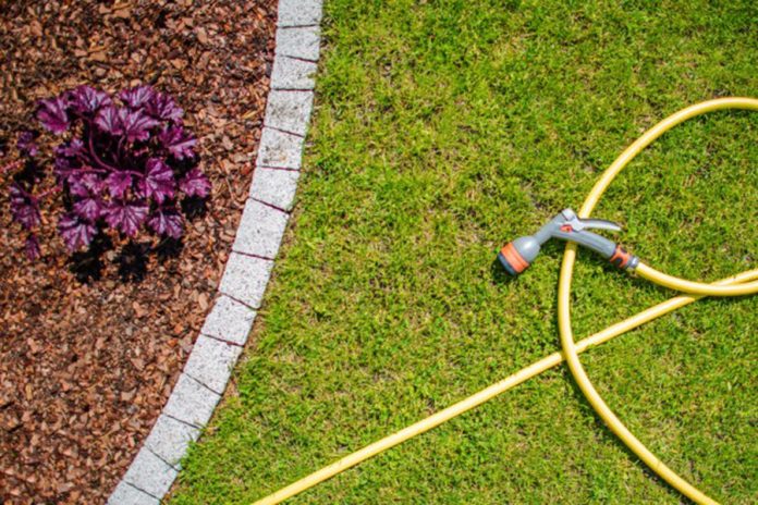 A yellow hose is laying next to a flower bed, providing a useful tool for gardening.