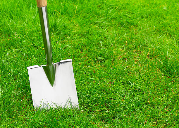 A gardening tool placed on grass during a bright day.