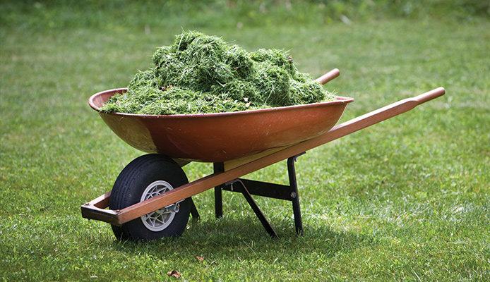 A grass-filled wheelbarrow.
