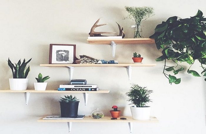A personalized shelf with plants and pots on it.