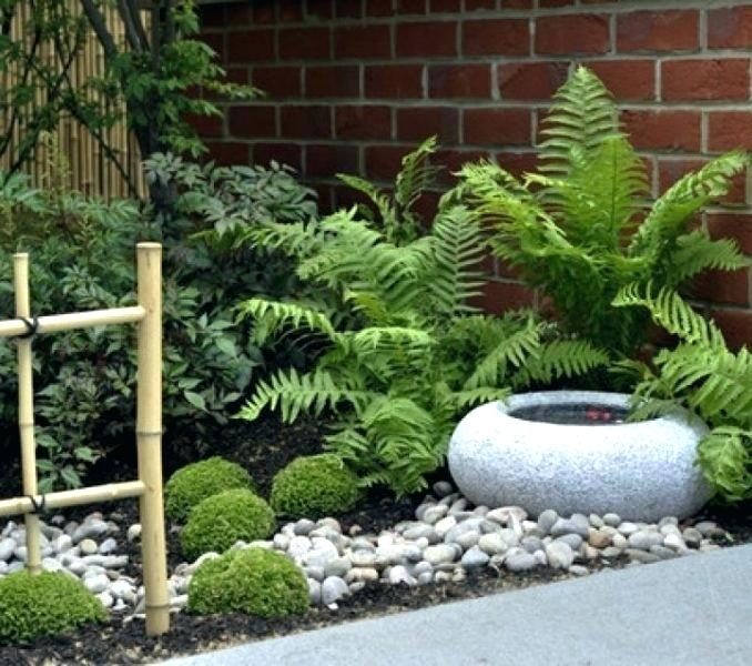A small Japanese garden with rocks and ferns.