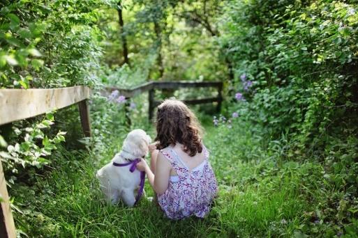 A girl sits on a wooden bridge with a dog, unaware of potential pet dangers.