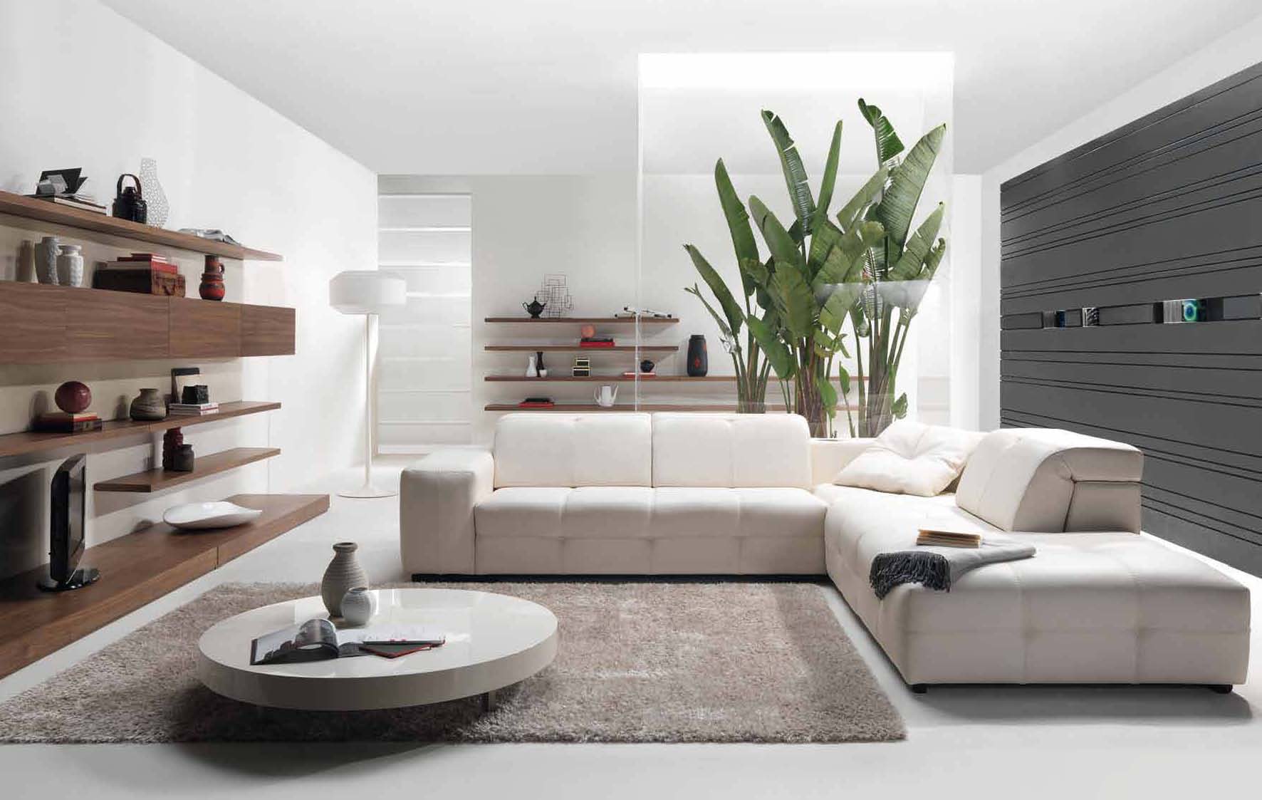 A minimalist living room with white furniture and a plant.