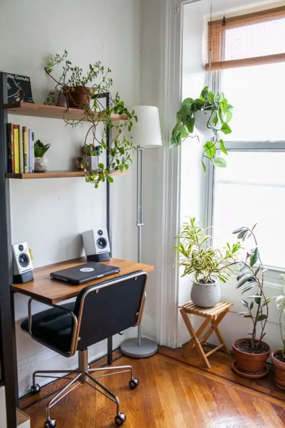 A home office with a desk, bookshelf and plants.
