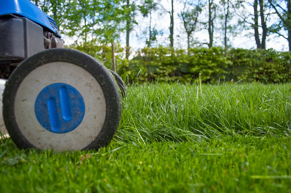 A close up of a lawn mower on a green lawn.