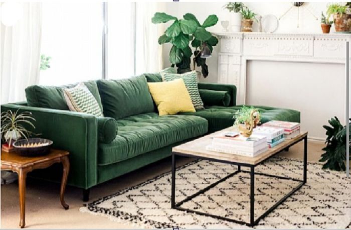 A tropical living room with a green couch and a coffee table.