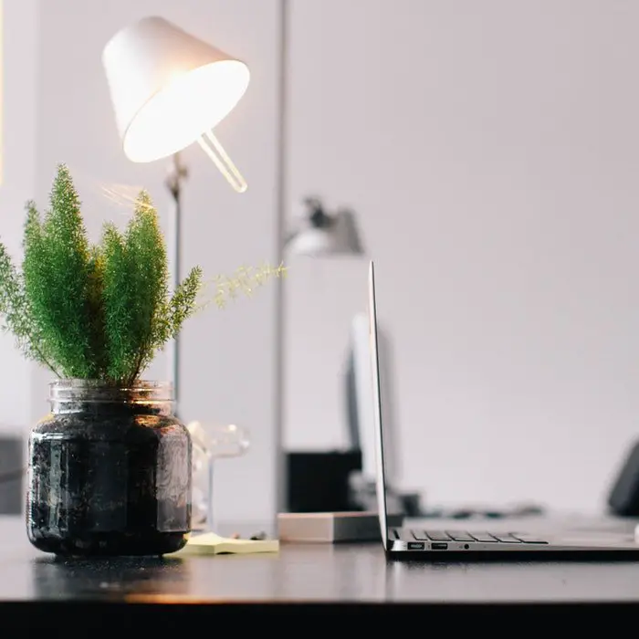 A laptop on a desk in a home office with a plant in a vase.
