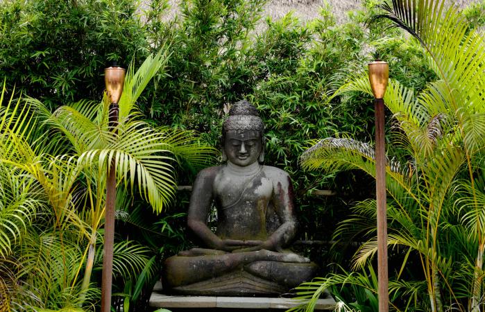 A tranquil garden with a buddha statue.