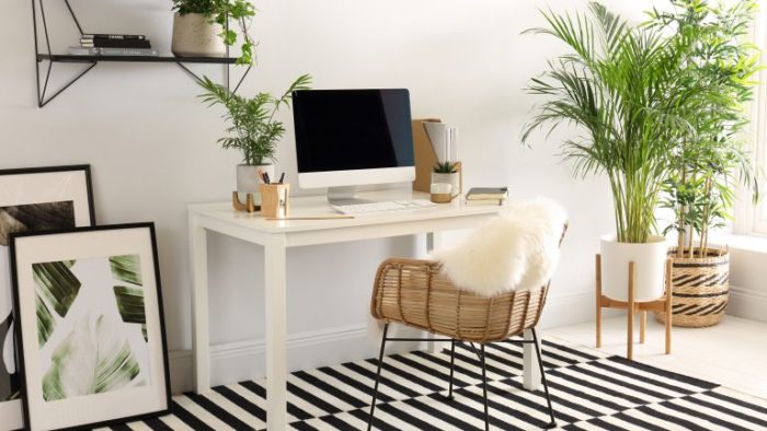 A home office with a black and white striped rug and plants.