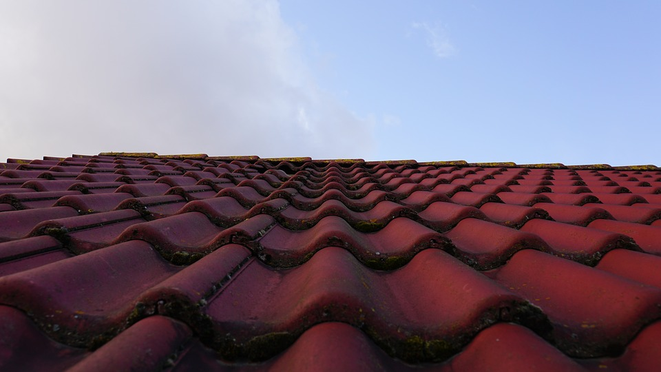 A red roof.