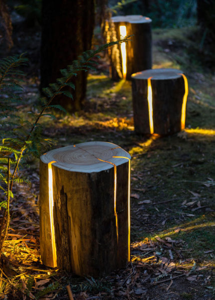 A group of logs in a wooded area featuring outdoor lighting.